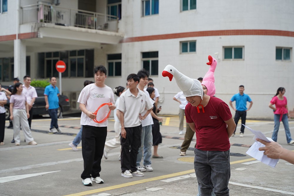 趣味活動(dòng)套大鵝3