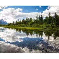 電磁波、紫外線和紅外線