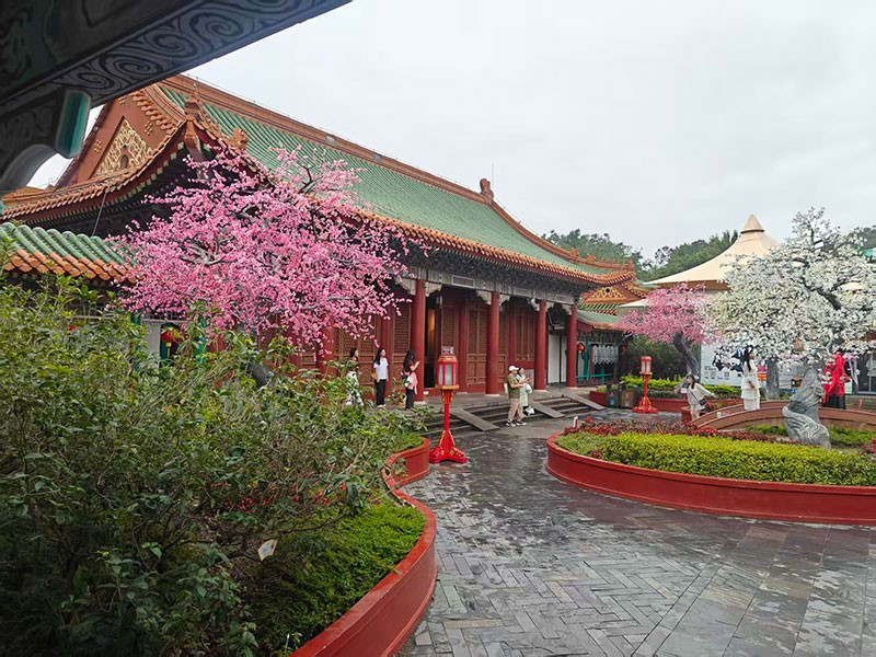濾光片 濾光片