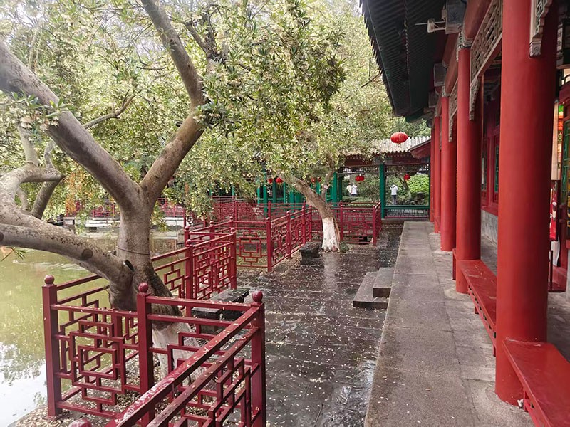 濾光片 濾光片