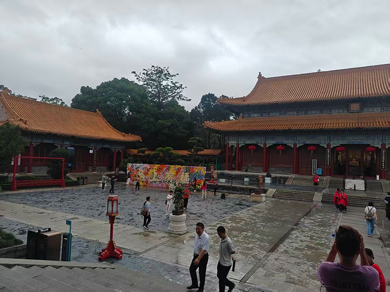 濾光片 濾光片
