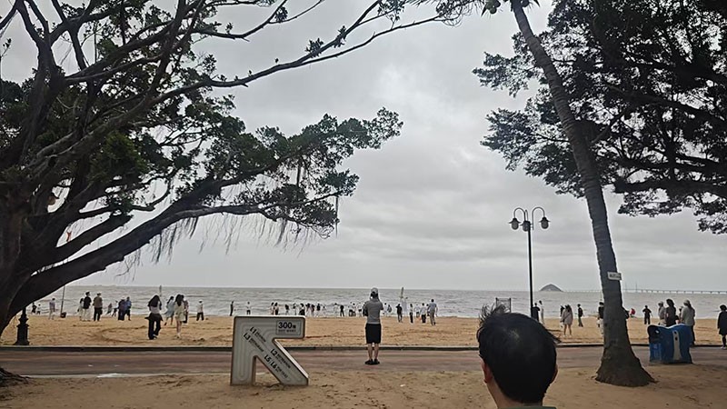 濾光片 濾光片